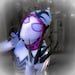 Buyer Avatar