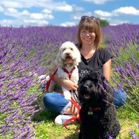 TheCosyCanineCompany