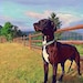 Buyer Avatar