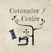 CotonnierCotier