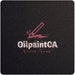 OilpaintCA