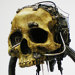 custom model maker