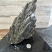 TheCrystal Guy