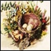 theknittednest