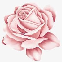 Roseayeeee