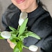 Buyer Avatar