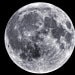 LemurianMoon