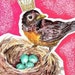raspberryrobin