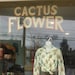 Cactus Flower