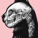 Buyer Avatar
