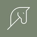 NafiliaHorse