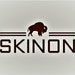 Skinon