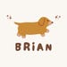 Zhao Brian