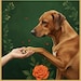 Buyer Avatar