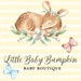 LittleBabyBumpkin