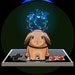 Buyer Avatar