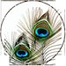 blueangeldigitals