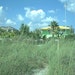 FloridaBeachWeddings