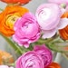 sabmade
