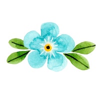 MyokkoDesign