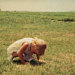 Dawn C avatar