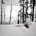 Buyer Avatar