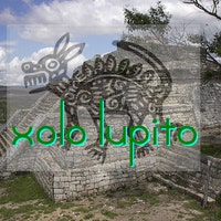 Xololupito