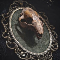HausofBones