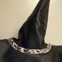 TheRavenandtheSwan