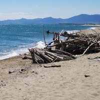 BohoBeachFinds