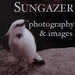 sungazer