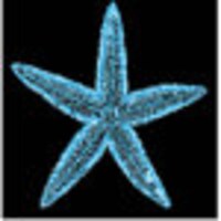 StarfishyDesigns