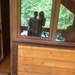 Dima and Maria
