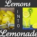 TheLemonaideStand