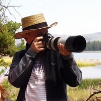 MFphotoart