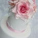 Chrissie cakes and bakes