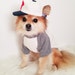puppydoggyclothes