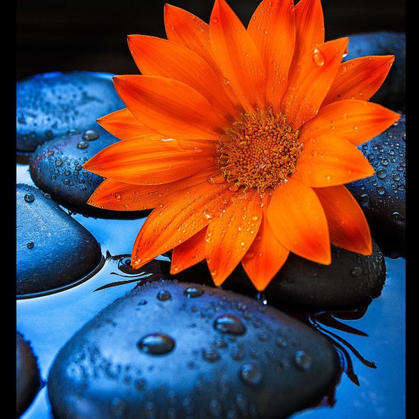 SKINNY CLASSIC Happy Planner Printable Inserts Purchase Tracker Happy skinny-classic-happy-planner-printable-inserts-purchase-tracker-happy