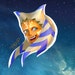 Buyer Avatar