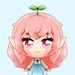 Katchapy