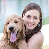 MonicaAnnPets