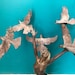 Shauna's Antiques and Decor