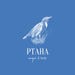 PtahaVintageUA