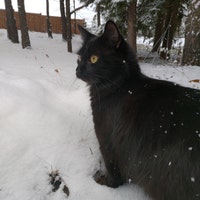 AndrewsThingsCanada