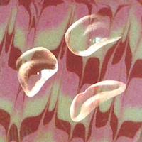CoventinaSoapery