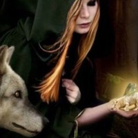 LoneWolfMetaphysics