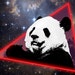 Sailing Panda