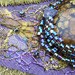 Owner of <a href='https://www.etsy.com/shop/PasticheStudio?ref=l2-about-shopname&from_page=listing' class='wt-text-link'>PasticheStudio</a>