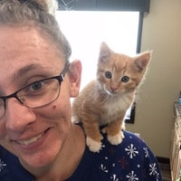 PumpkinsPetShop