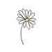 Lush Daisies avatar